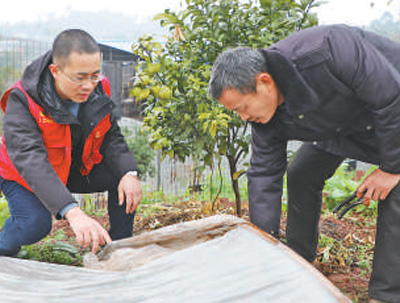 阳庚华（左）与周承武一起查看百香果苗培育情况。