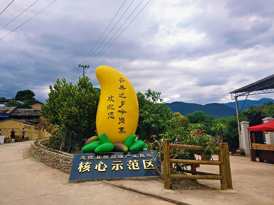 腊勐社区岭岗寨大芒果标识