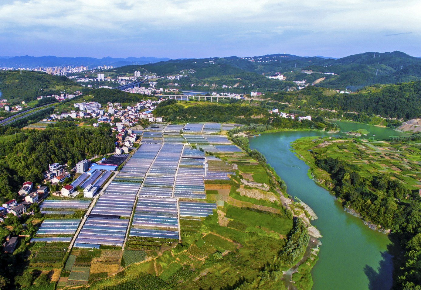忠诚村蔬菜种苗繁育基地