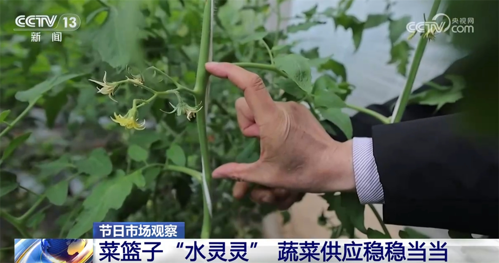 泉州市民营企业法律服务热线正式开通