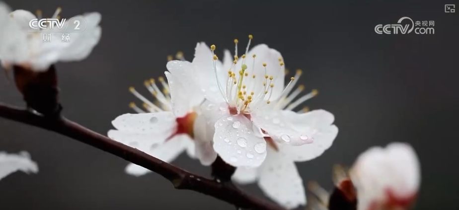 创新服务提升消费体验 解锁“美丽经济”百变打开方式