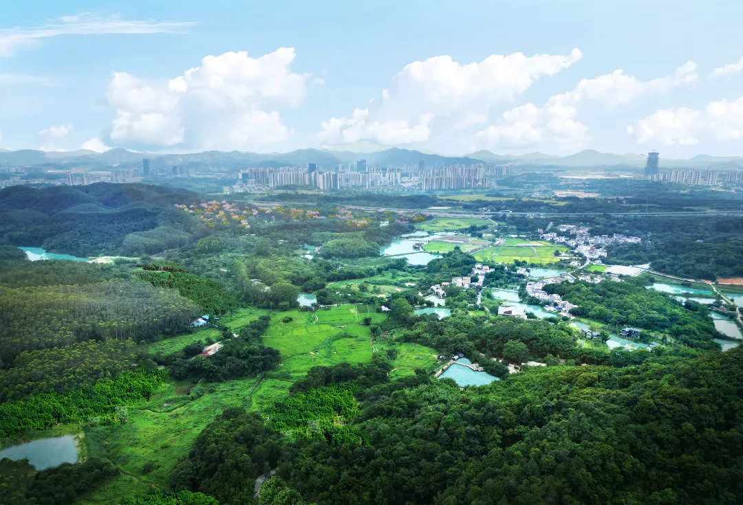 福和山森林片区