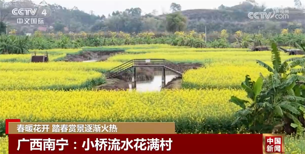 春暖花开时踏春赏景逐渐火热 以花为“媒”促“春日经济”盛放