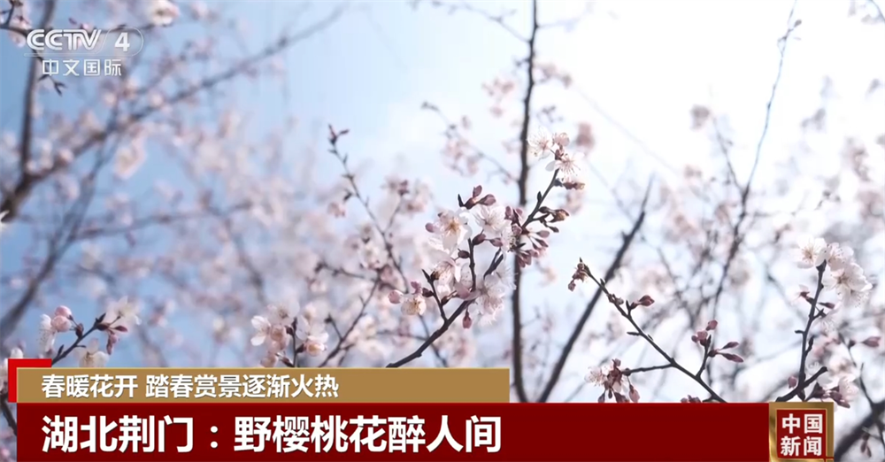 春暖花开时踏春赏景逐渐火热 以花为“媒”促“春日经济”盛放