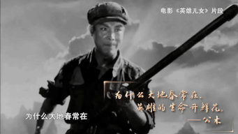 书页间的万种人生