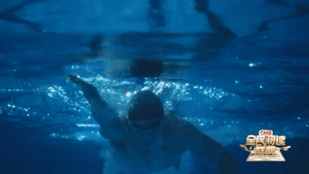 书页间的万种人生