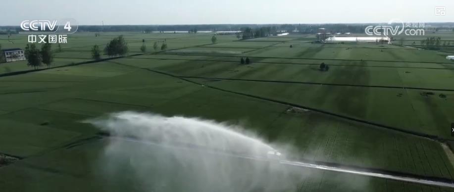 全国春播加速推进 夏粮生产关键期各地全力保丰收