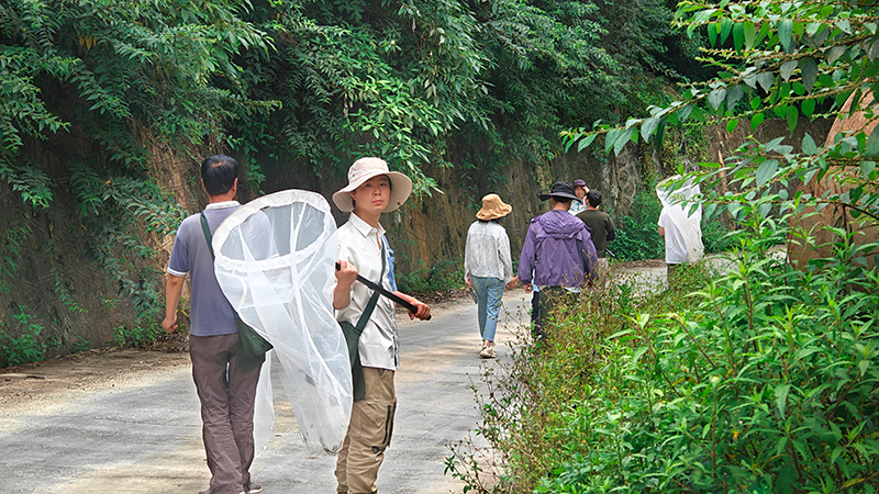 墨脱网捕（潘朝晖/摄）