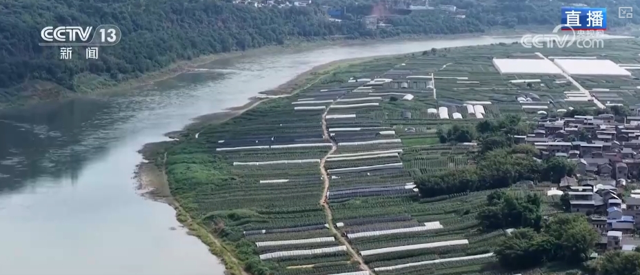 “智慧农业”点亮农旅融合发展 江上“菜篮子”将“流量”变“增量”