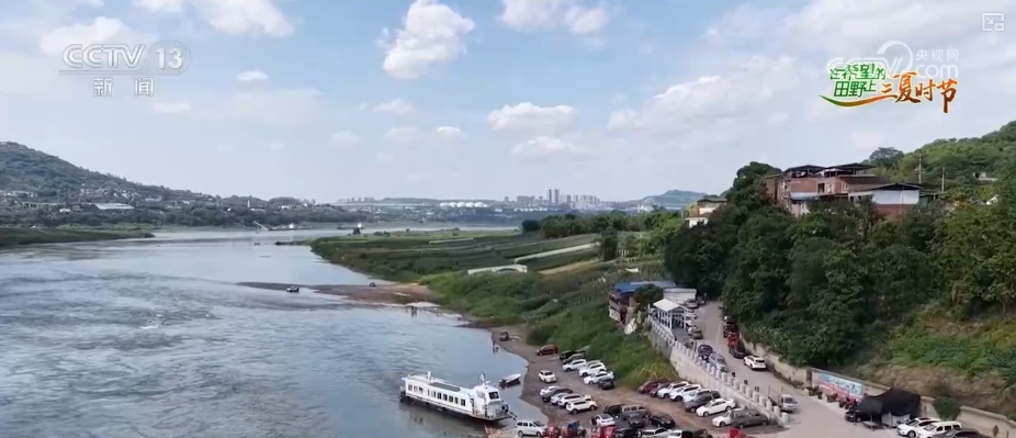 “智慧农业”点亮农旅融合发展 江上“菜篮子”将“流量”变“增量”