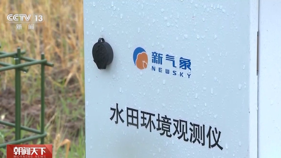 气象预报加上数字化监测 小麦“颗粒归仓”有了“最强大脑”  第4张