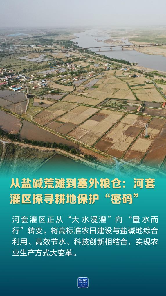 从盐碱荒滩到塞外粮仓：河套灌区探寻耕地保护“密码”  第1张