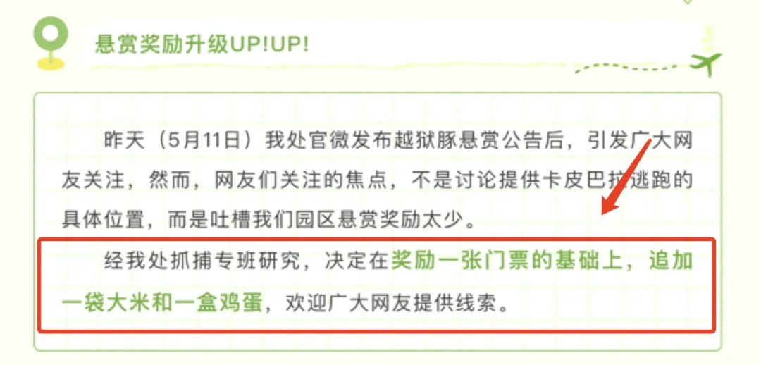 流浪两个月，卡皮巴拉回来了！网友：给园长省钱了