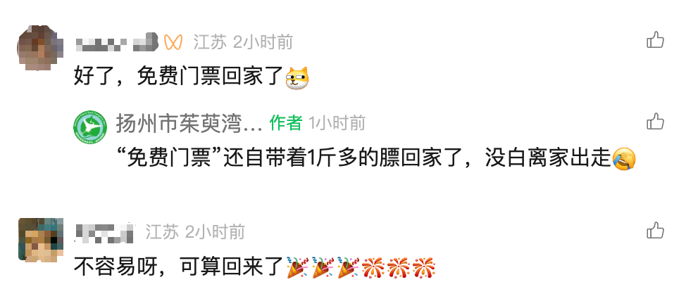 流浪两个月，卡皮巴拉回来了！网友：给园长省钱了