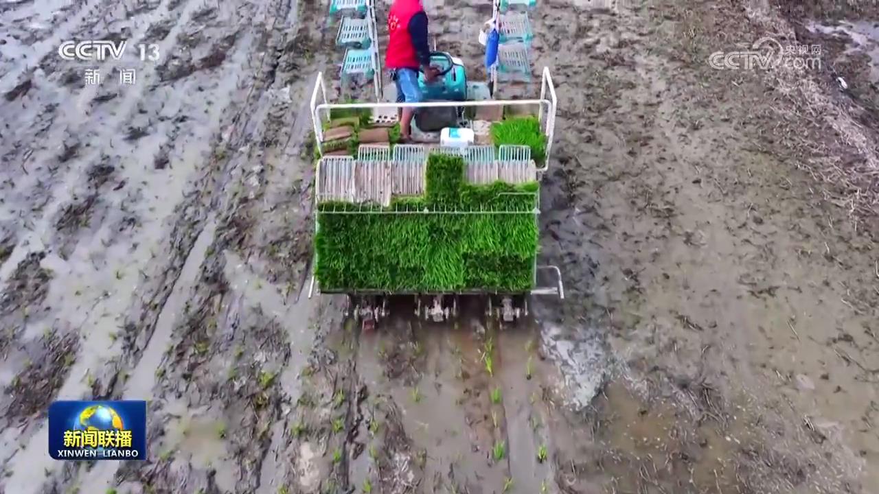 【在希望的田野上·三夏时节】全国夏粮小麦收获进度过半  第3张