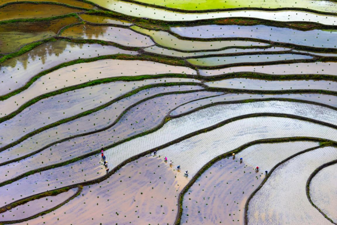 【8点见】女子在三亚被不明生物咬伤离世，官方再通报细节时间线  第15张