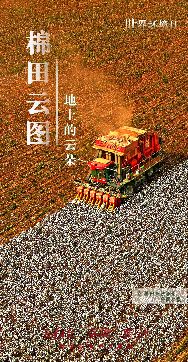 世界环境日丨看新疆的“绿色”答卷  第2张