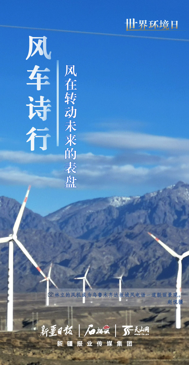 世界环境日丨看新疆的“绿色”答卷  第5张