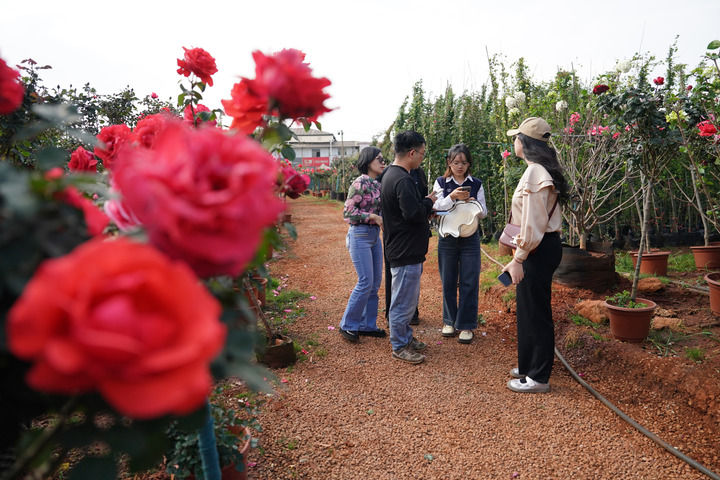享開放之機，走共贏之路——在國際經貿盛會中感知中國吸引力