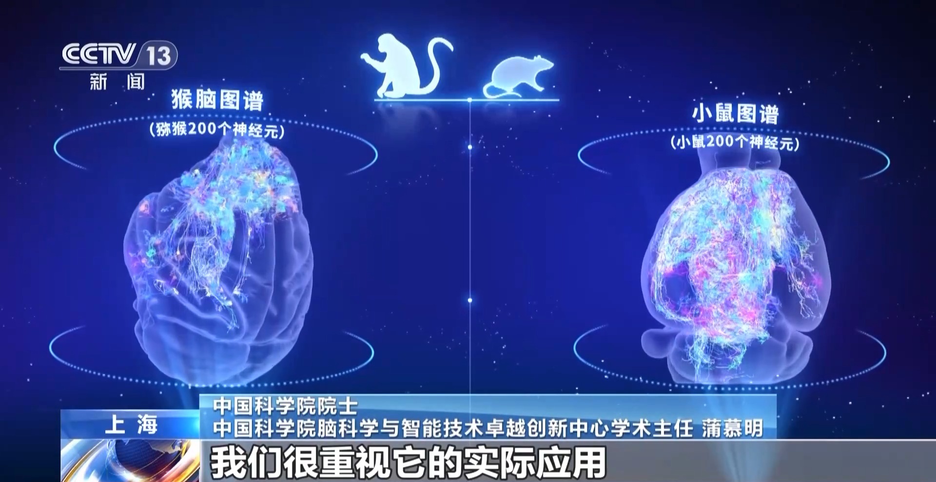 我国脑图谱钻研系列下场会集宣告 解密人类大脑有了关键本领