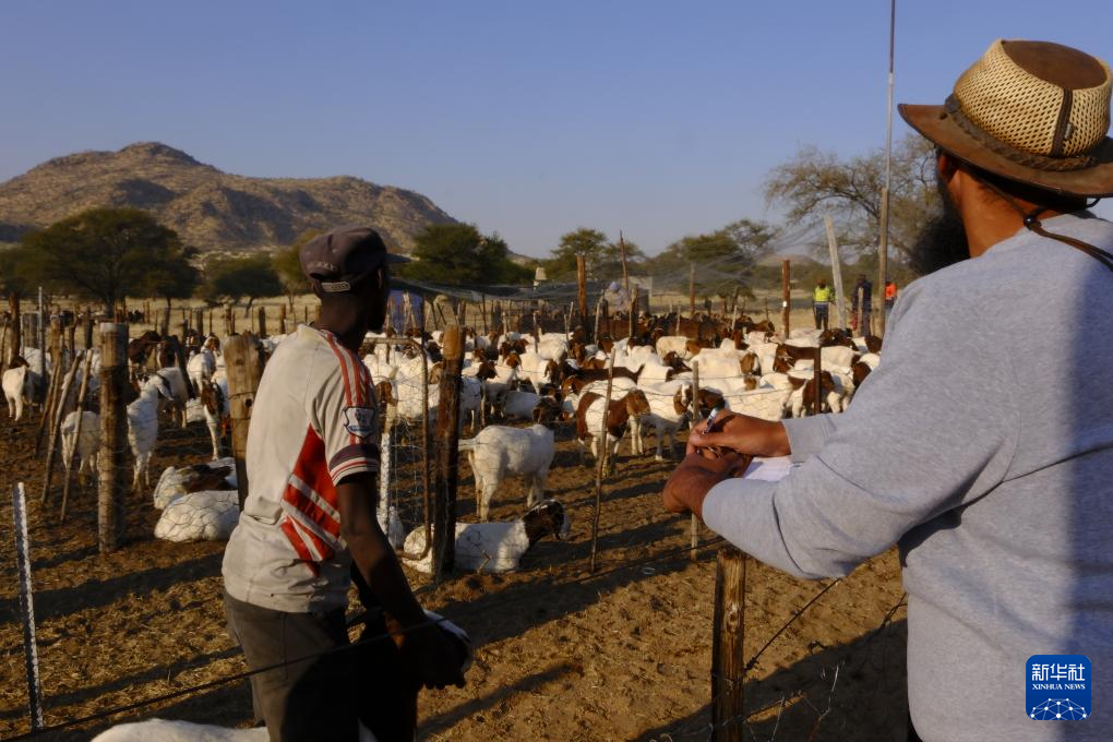 中企&ldquo;希望农场&rdquo;在纳米比亚播种振兴&ldquo;曙光&rdquo;