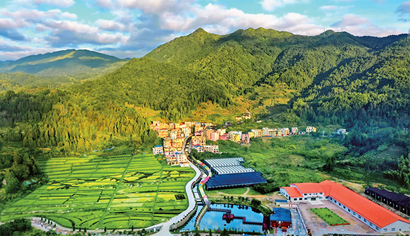 林茂田丰、天蓝水清的“七彩”后洋村。 宁德市委宣传部供图 (2023年第24期《求是》杂志刊发)