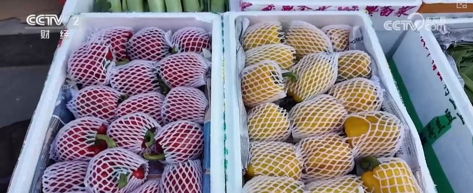 果蔬争“鲜”上市供销两旺 百姓冬季“菜篮子”“果盘子”消费需求有保障