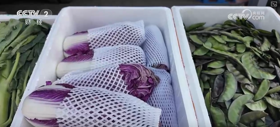 果蔬争“鲜”上市供销两旺 百姓冬季“菜篮子”“果盘子”消费需求有保障