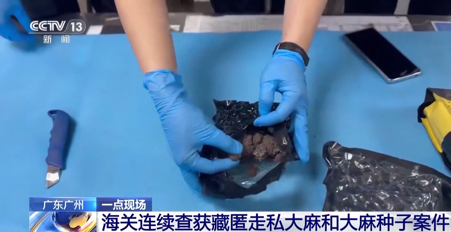 申报家具变“咖啡”？海关连续查获藏匿走私大麻和大麻种子案件