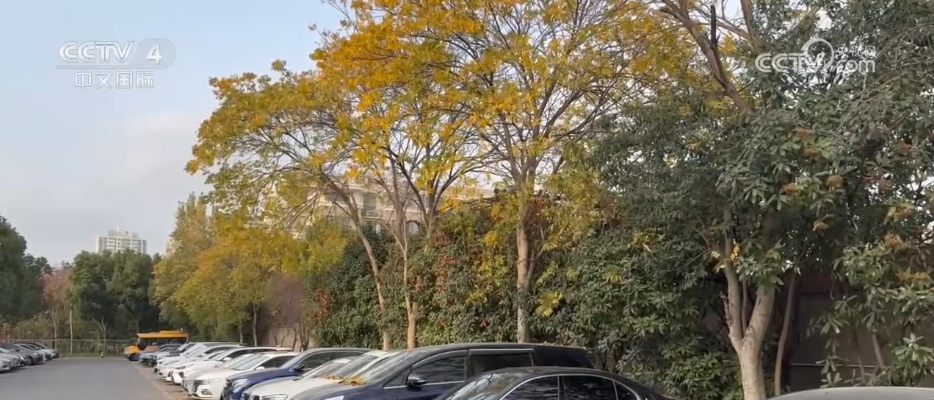 冷空气持续影响北方多地 多部门“攥指成拳”保生产保畅通