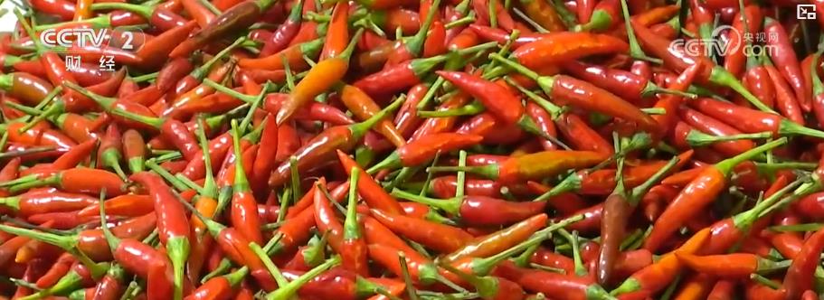 各地冬“鲜”持续上市 丰富百姓冬日菜篮子