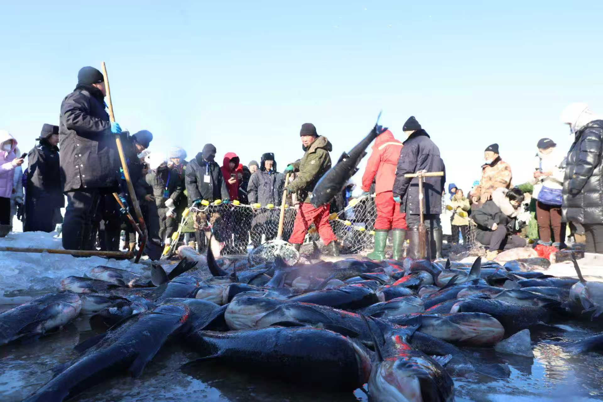 连环湖冬捕盛况。（杜尔伯特蒙古族自治县供图）