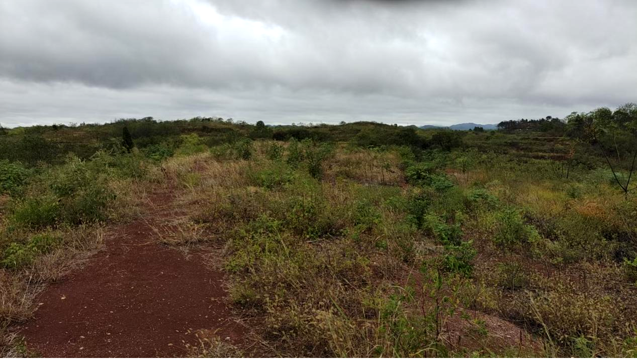 昔日文昌村山头景象