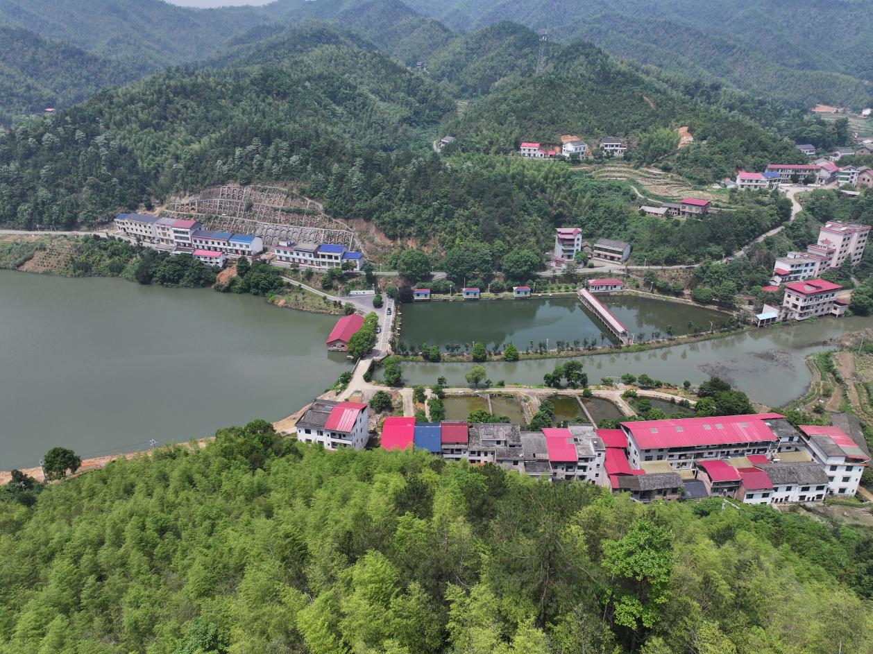 九观村逸趣园休闲农场（廖晶/摄）