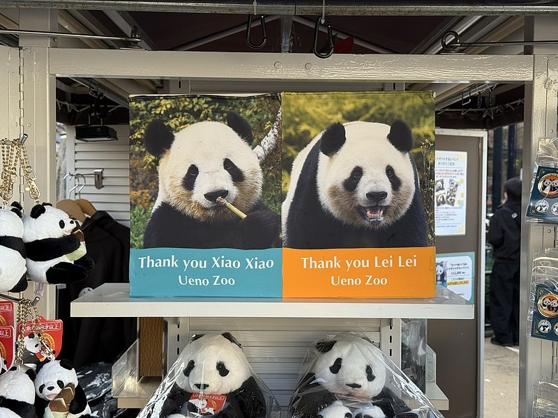 大熊猫“晓晓”和“蕾蕾”将于27日从日本