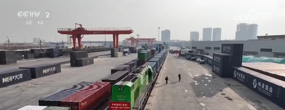 货架上的中亚美味从“厂门到厂门”直达 装满百姓采购年货“购物车”