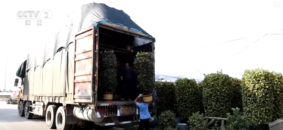 百年大集出圈圈粉海外游客 特色年货走俏“小而美”创新品类拓宽消费新场景