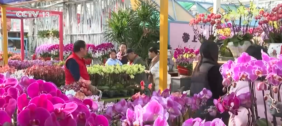 打开赏花地图看繁花美景聚人气、多元场景带旺消费