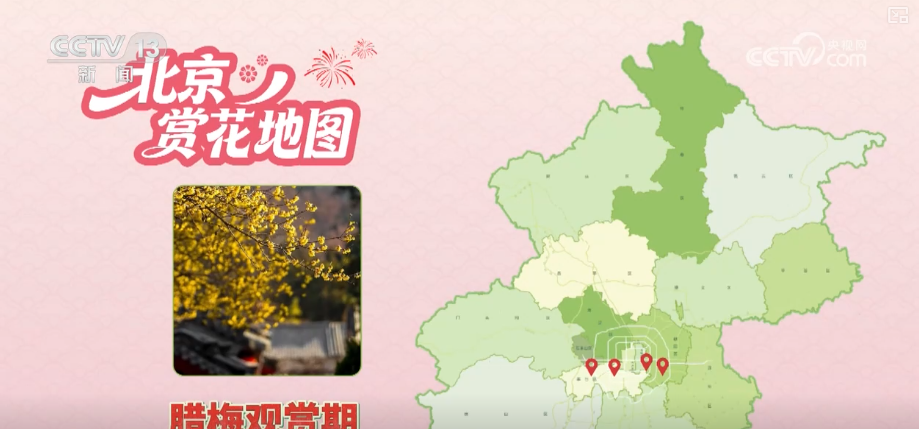 打开赏花地图看繁花美景聚人气、多元场景带旺消费