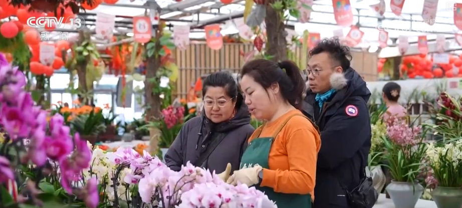 打开赏花地图看繁花美景聚人气、多元场景带旺消费