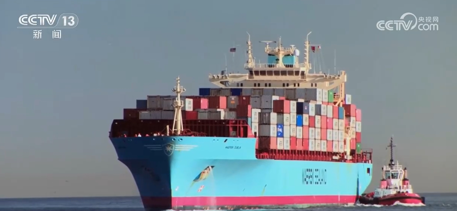 “两马”电商热 两岸年味浓