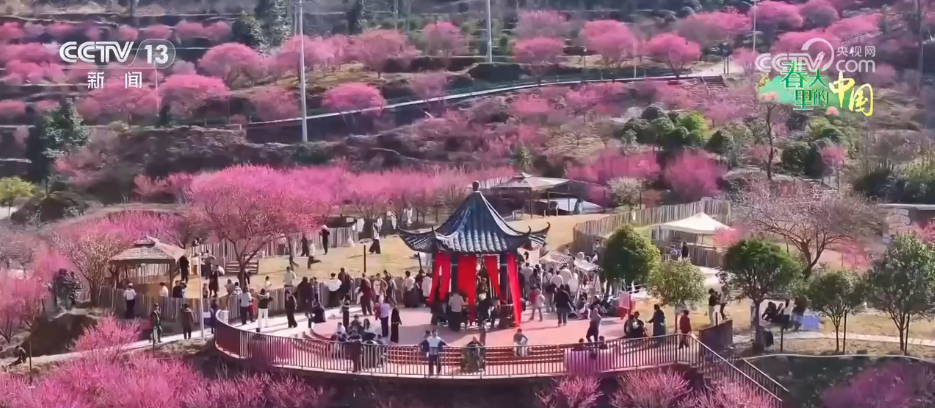 各地以“花”为媒点亮“美丽经济” 春日“颜值”加速转化为文旅“价值”