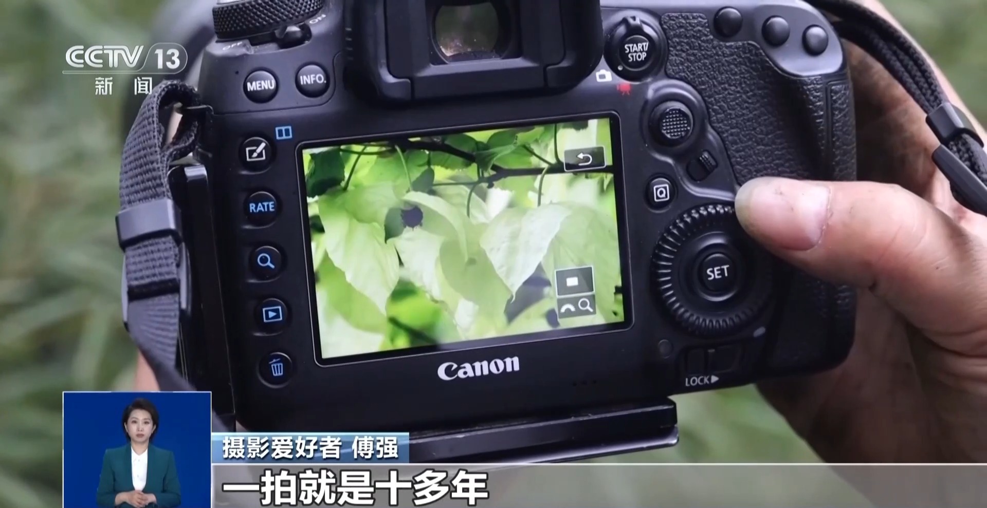 创意焰火、文旅街区热度攀升 这些景点等你“五一”打卡