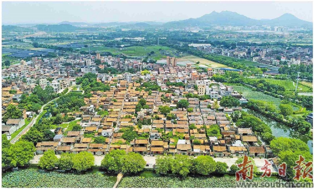 广州市花都区塱头村探索乡村振兴&ldquo;塱头模式&rdquo;，最大限度保留原有建筑风貌的肌理、颜色、格局、外观。图为塱头村全景。资料图片