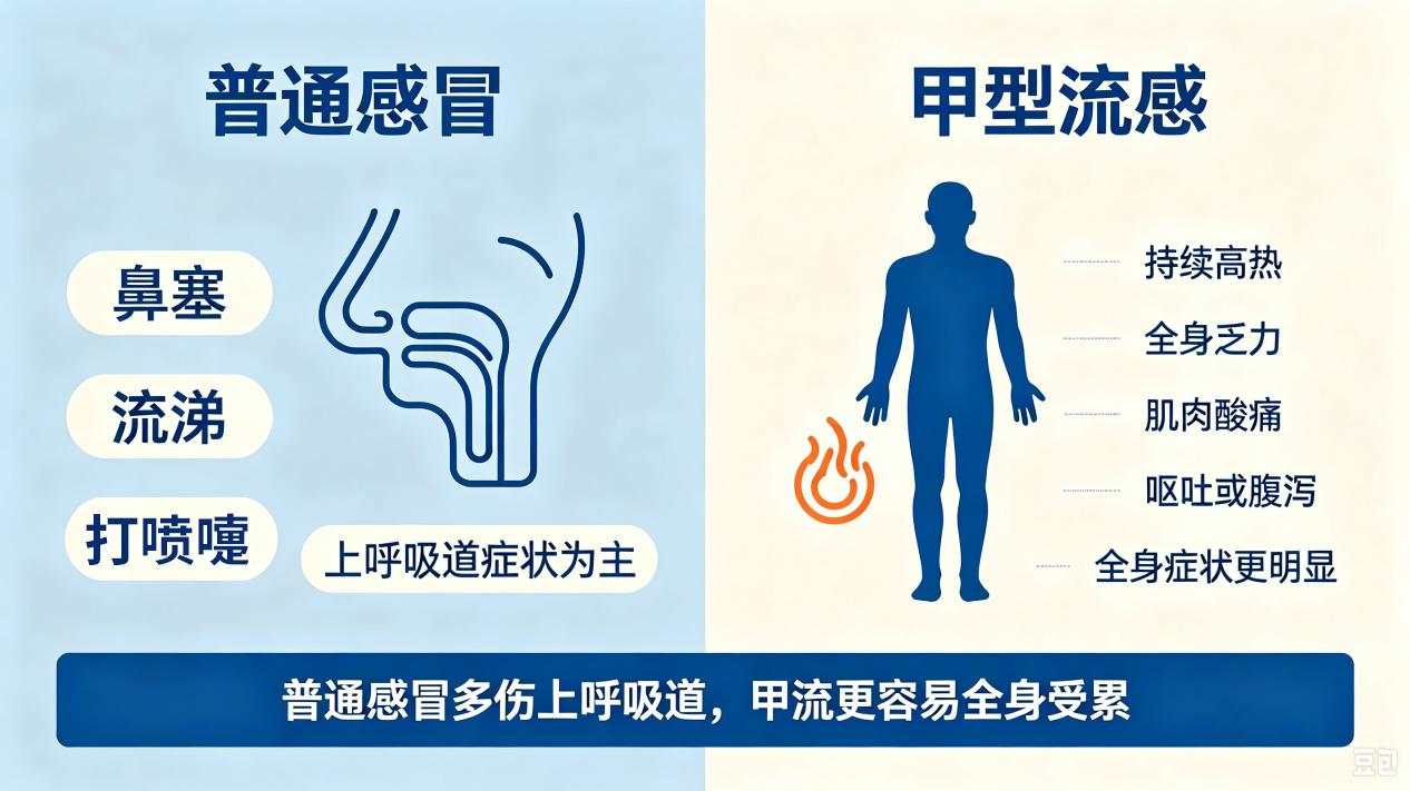 甲流与普通感冒核心区别（图片由AI生成）