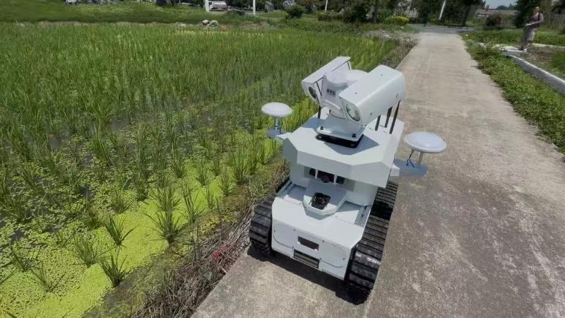 AI智能巡检机器人在农田边工作