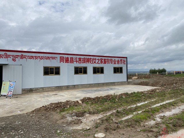 你笑起来真好看小乡村里飘出茶香味