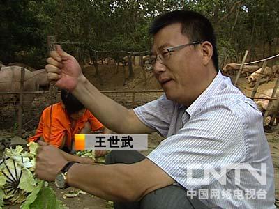 农家乐 致富经     二哥王世林:"我是一百个不同意.