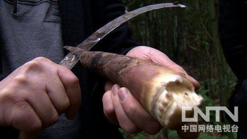 致富经2006年全集(致富经2016年全集视频播放)