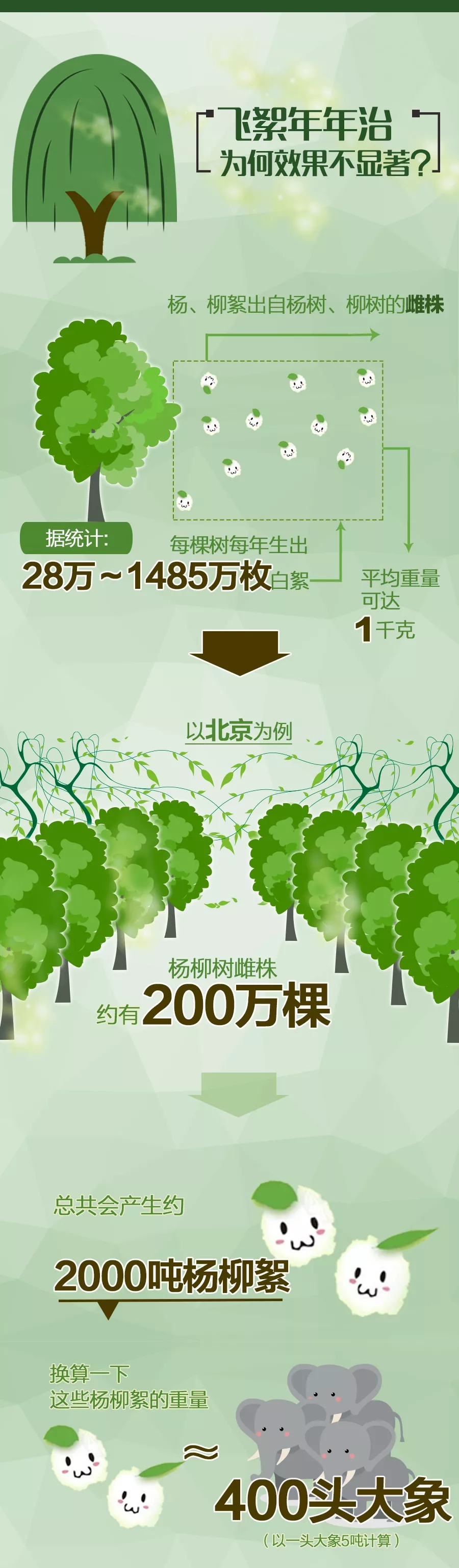 毛?毛?毛?毛?毛?……杨、柳絮年年治，为何效果不显著？